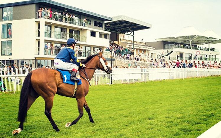 Jockey on a horse trotting across the track, in front of racegoers at Bath Racecourse.