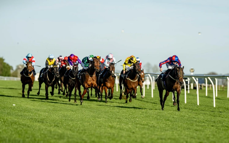 Horse running towards the finish line