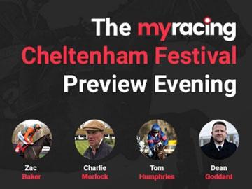 Banner promoting the cheltenham festival preview panel.