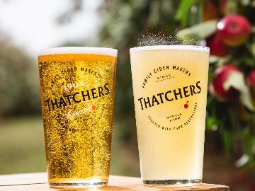 Thatchers Cider at Bath Racecourse - Cider Racenight 2024