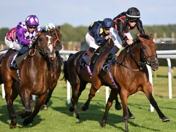 Horses thundering around the flat track at Bath Races