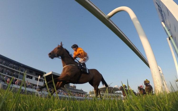 Jockey racing past the crowds at Bath Racecourse.