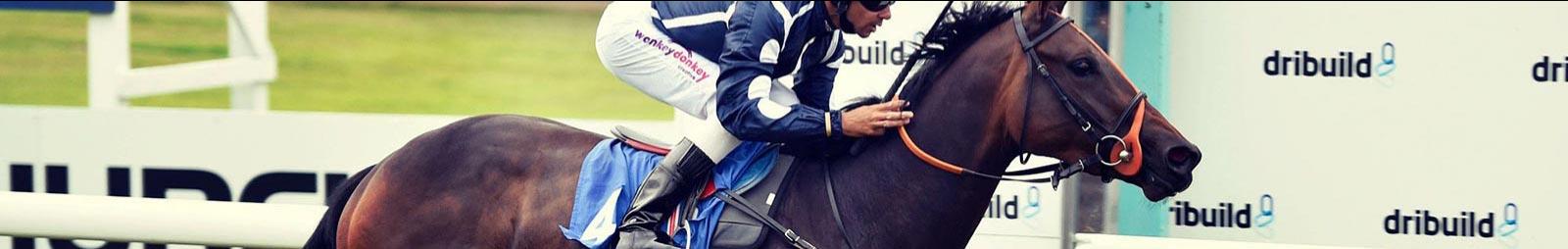 horse racing to finish line at bath racecourse with the sponsor in the background