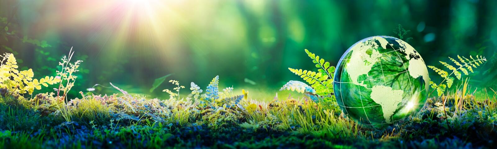 Sustainability at Bath Racecourse