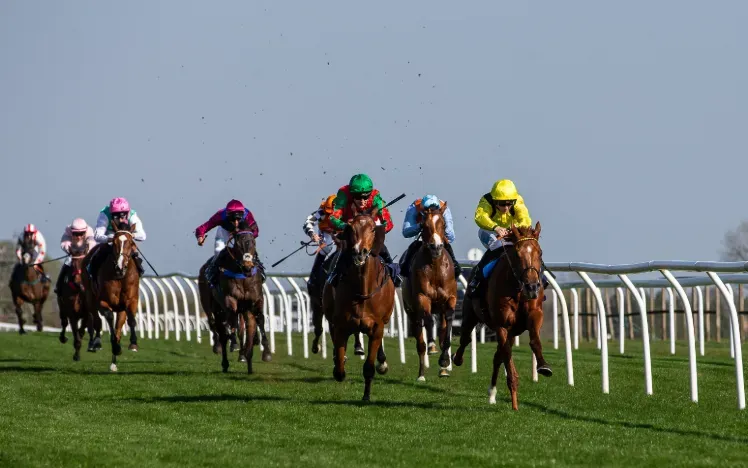 Horses racing along the flat track at Bath Races