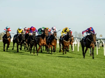 Horse running towards the finish line