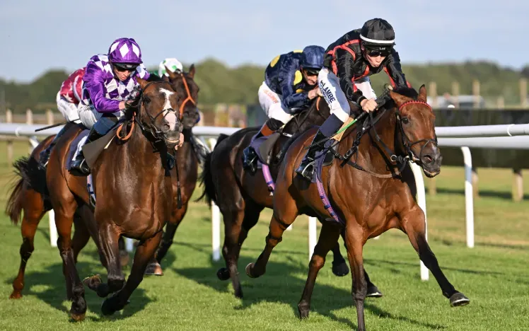 Horses thundering around the flat track at Bath Races