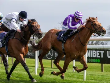 Horses racing along the track at Bath Racecourse