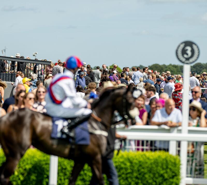 A horse and jockey in the foreground, with the crowds of Bath Racecourse in the distance