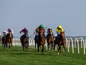 Horses racing along the flat track at Bath Races