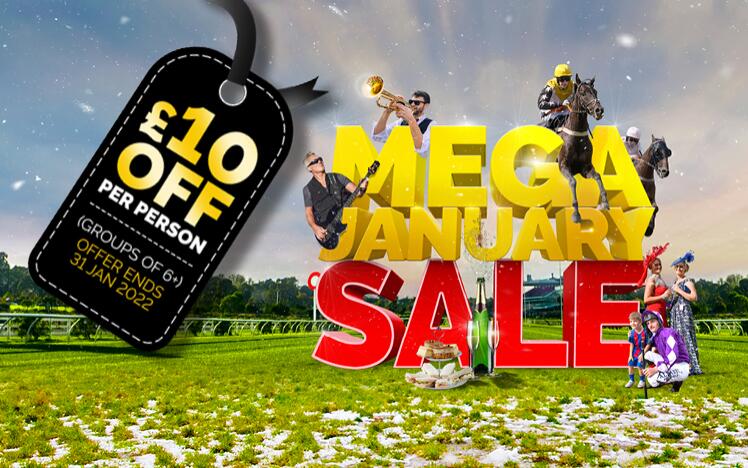 Mega Januarly Sale