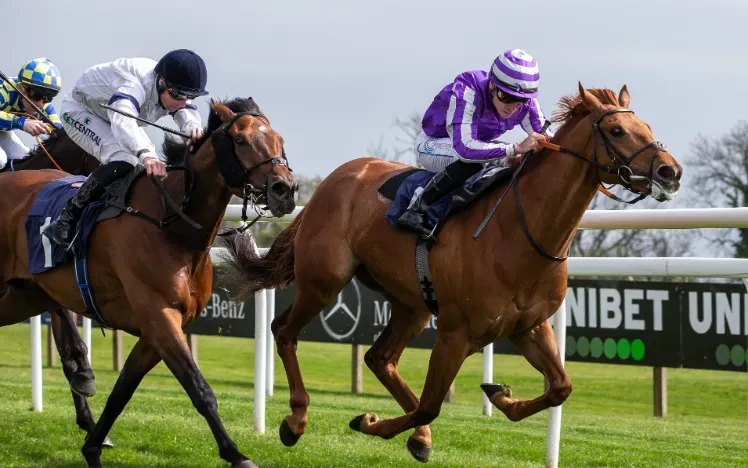 Horses racing along the track at Bath Racecourse