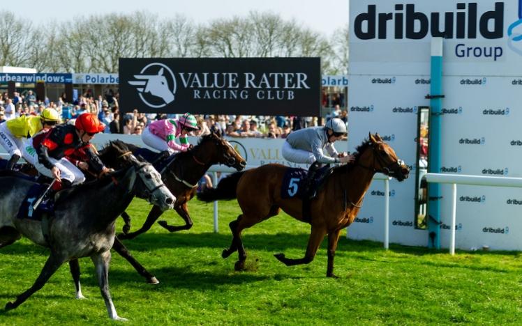 Horses cross the finishing line