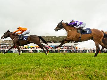 Horses racing on a turf track