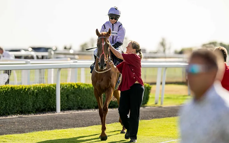 Image of Horse racing in parade ring