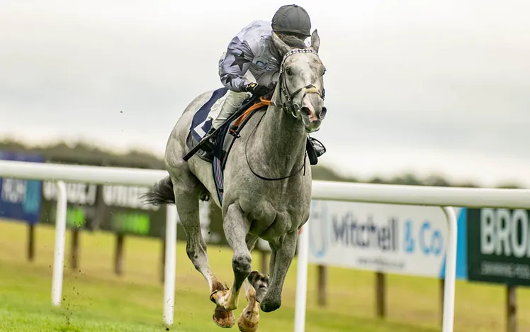 Horse racing