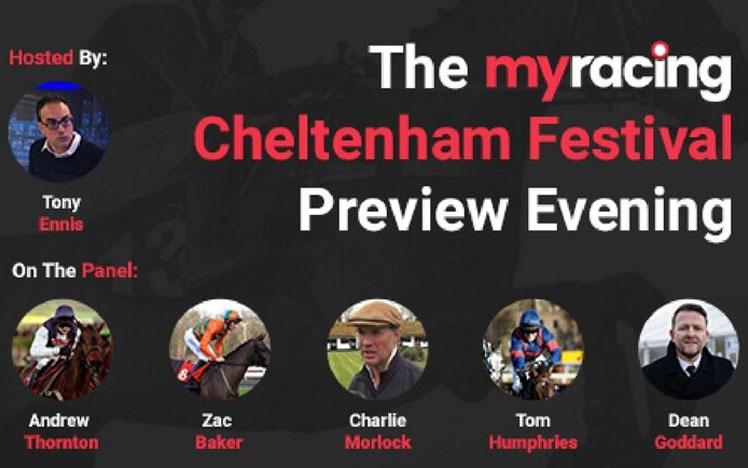 Banner promoting the cheltenham festival preview panel.
