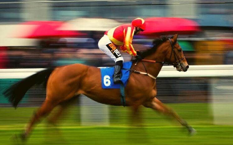 Blurred image of a jockey racing past the crowds.
